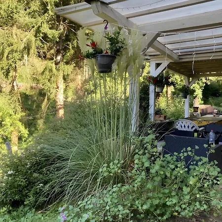 Des 3 Anes * Rombach-le-Franc