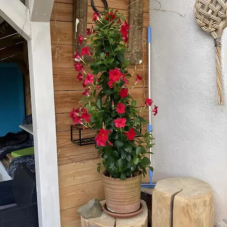 Des 3 ânes Appartement *