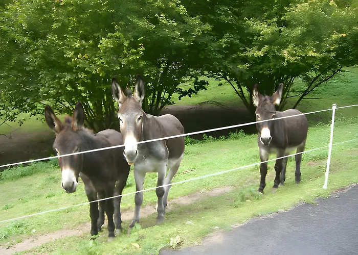 Des 3 Anes Appartement