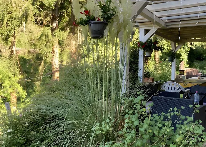 Des 3 Anes * Rombach-le-Franc